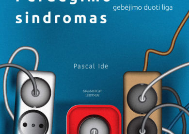 Nauja knyga. „Perdegimo sindromas: gebėjimo duoti liga“